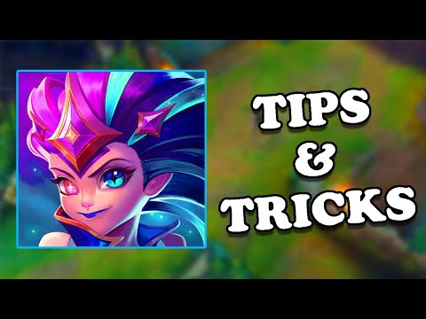 Everything to Know About Zoe!