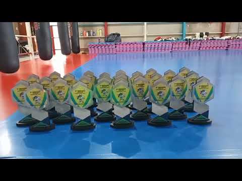 Taekwondo indiara-goias, troféus de homenagem 2025..2" indiara open de taekwondo. 