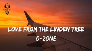 O-Zone - Dragostea Din Tei/Love From the Linden Tree ( Lyrics Video )