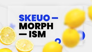 Skeuomorphism & Realism in UI Design | TemplateMonster