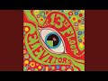 Tried to Hide - 13th Floor Elevators - Topic Tried to Hide
