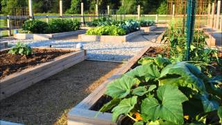 Garden Soil @Rose Hauling