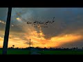 Mana Mausam Bhi Badalte Hain Sad Lines WhatsApp Status