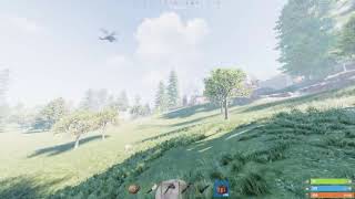 [PS4:RUST]エラー落ちしました