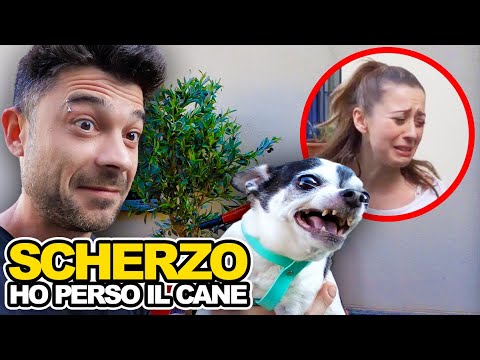 HO PERSO IL CANE DI MARTHA *SCHERZO EPICO FINITO BENE*