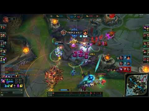 AD Neeko top is balanced