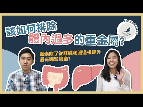 該如何排除體內過多的重金屬? | 毒素除了從肝臟和腸道排除外還有哪些管道? | 【功能醫學教育中心】EP19