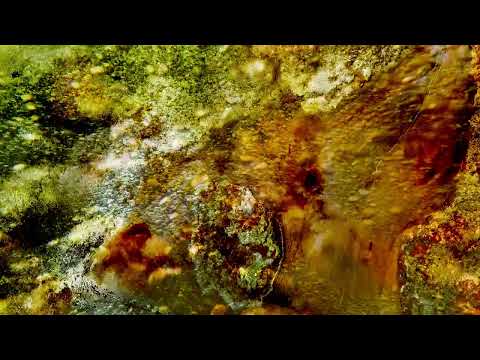 Abstract macro photograph of a richly textured surface in amber and rust tones.
