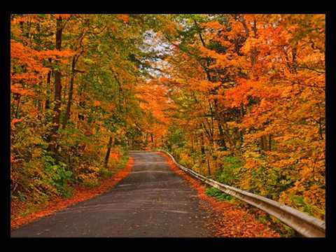 Foggy mountain rockers - Country Roads