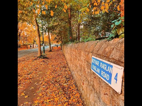 Raglan Road - The High Kings