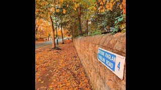 Raglan Road w lyrics - High Kings version