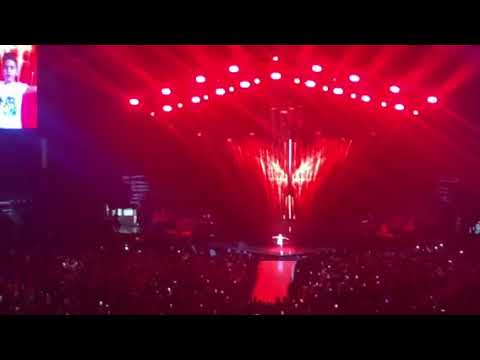 Ljuba Stanković na Severininom koncertu oduševio publiku