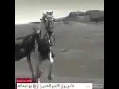 ⁣اذن فرس الميمون كيف كانت ؟ موقف رجوع المهر خالي ، موقفه لا يوصف ابداً .