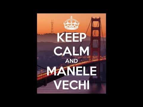 Nicolae Guta & Sorin Copilul de Aur - Omule Viata ne Trece (2004)