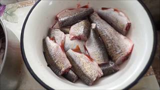 Как приготовить котлеты из плотвы