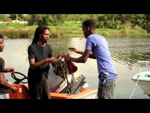 Shafta x Tsiguidi(Jungle) x Jahley x Kushy - All Day