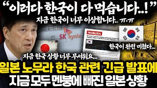 지금 진짜 미쳤다는 내년 한국 경제 상황 l 일본 노무라 투자은행 긴급 발표 l 반도체부터 배터리까지 다 씹어먹게 생긴 상황