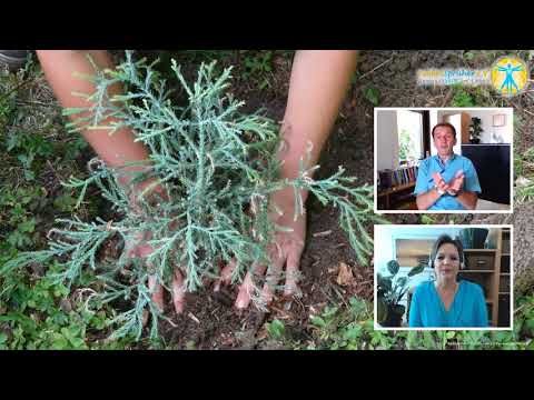 Walter Wittmann   FunkenSprüher Online Kongress 2017   Lebensraum