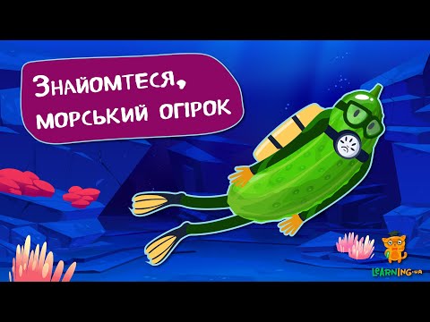 Дива природи. Явища навколо нас. Морські огірки