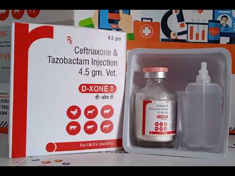 VETERINARY MEDICINE PCD FRANCHISE