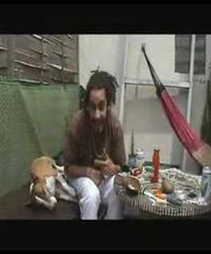 Taïro : Freestyle !