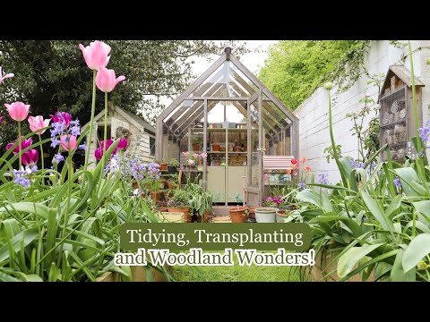 Late Spring Garden Tour: Tidying, Transplanting and Woodland Wonders!