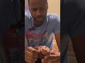 Snippet From Best Cupcakes In New York City Shorts