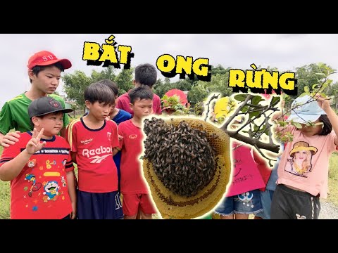 , title : 'Anh Ba Phải | Đi Săn Tổ Ong Ruồi - Thử Thách Ăn Mật Ong | Catch honey bees'