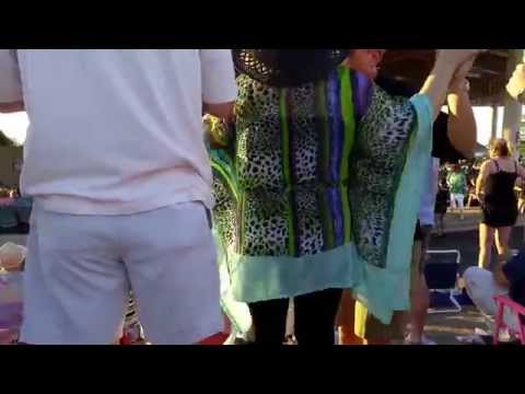 Ruoff Music Center - THESE RUDE PEOPLE WOULD NOT SET DOWN BLOCKING THE VIEW OF THE...