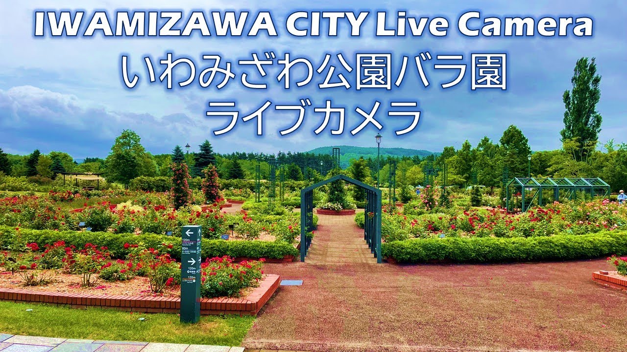 Iwamizawa - Misono 5-jo Street