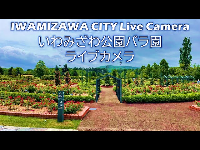 いわみざわ公園バラ園