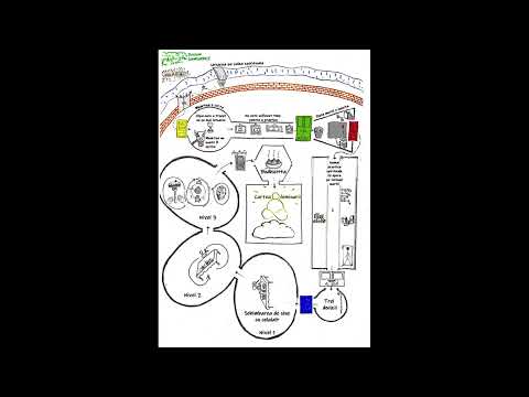Meditatie - completa - Constientizarea Mortii