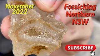 Fossicking Northern Rivers November 2022
