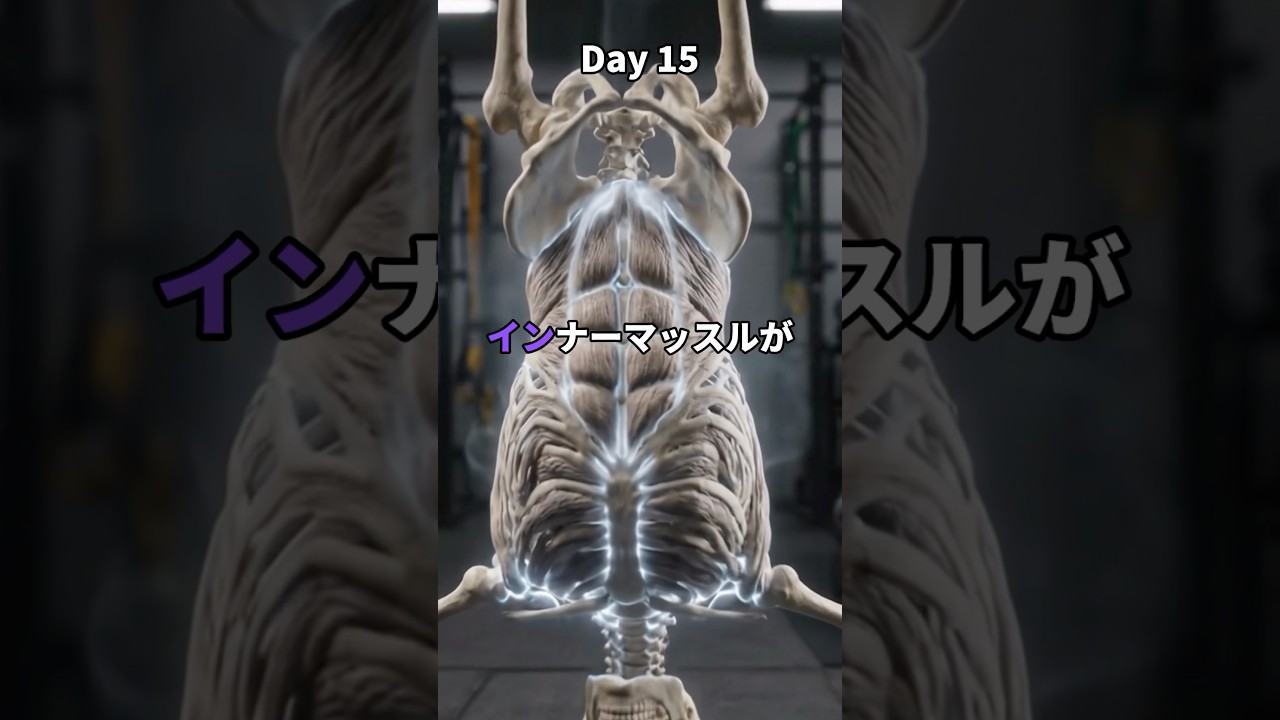 もしも30日間、1分逆立ちを続けるとどうなるのか？