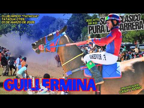 GUILLERMINA... Gran Clasico SPC - Hip. Tatacua 01 de marzo/2026