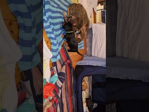 Efter mat blir det bus och så dags att sova igen🥰