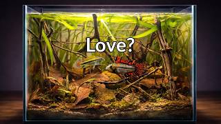 I Simulated the Amazon River in My Aquarium for 150 Days (Real Ecosystem Update)