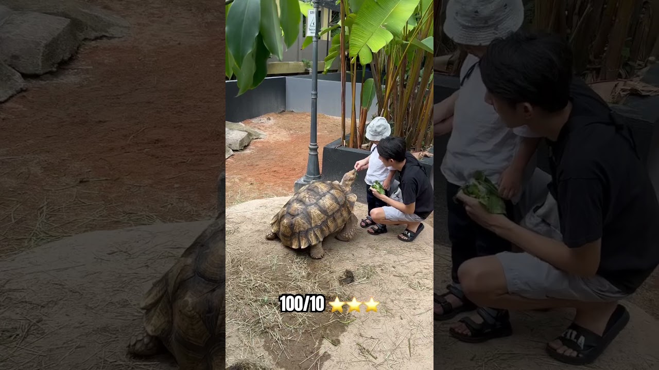 YouTube Short thumbnail