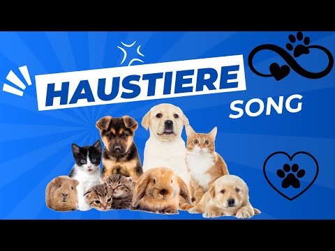 Pets SONG with lyrics to sing along to Children's songs in German
