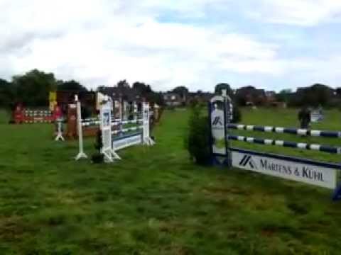 Lanca-Holsteiner Stute v. Lancer II x Caletto (1)