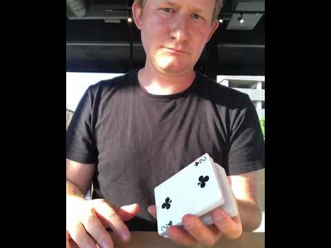 Promotional video thumbnail 5 for Adam Wylie