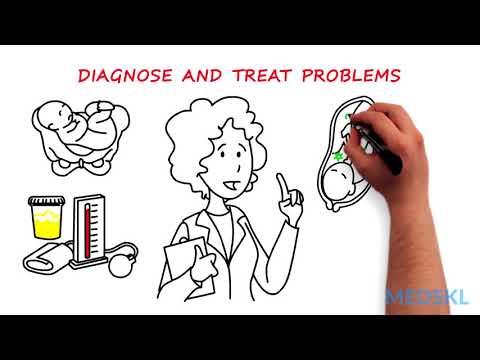 Obstetrics and Gynecology – Intrapartum Care: By Melanie Ornstein M.D.