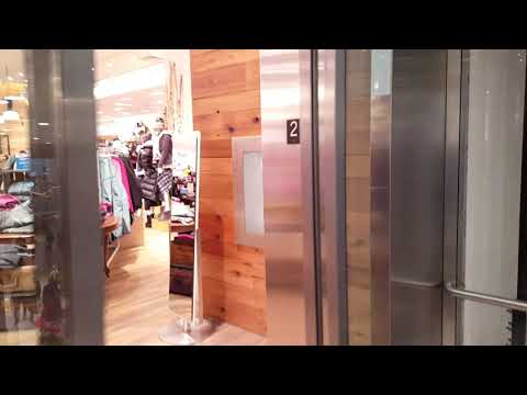 Fully Scenic Schindler 5500 MRL Traction Elevator - Sporting Life - Yorkdale Mall, North York ON