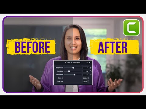 Camtasia 2024 | How I Do Color Correction to Enhance Video Projects 🎇