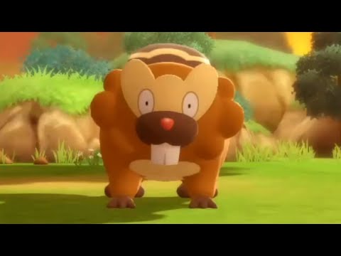 How to Catch BIBAREL (Route 208) - Pokemon Brilliant Diamond & Shining Pearl