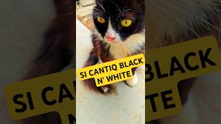 Download lagu SI CANTIQ BLACK N WHITE⁉️😹😺 mp3 Download lagu SI CANTIQ BLACK N WHITE⁉️😹😺 mp3