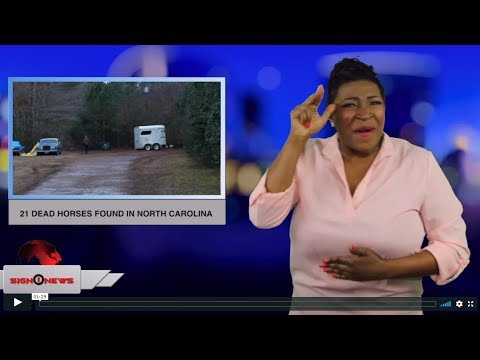 21 dead horses found in North Carolina - (ASL - 1.21.19)