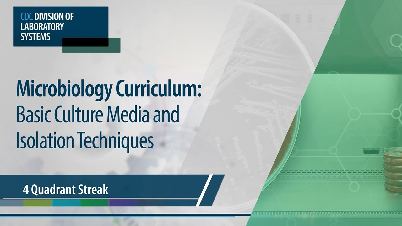 Microbiology Curriculum: Basic Culture Media and Isolation Techniques – 4 Quadrant Streak