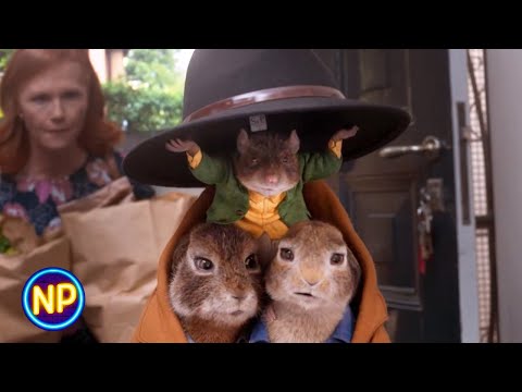 Escape From Captivity | Peter Rabbit 2: The Runaway (2021)