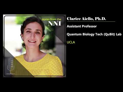 Quantum Sensors and Nanotechnology: A Conversation with Clarice Aiello
